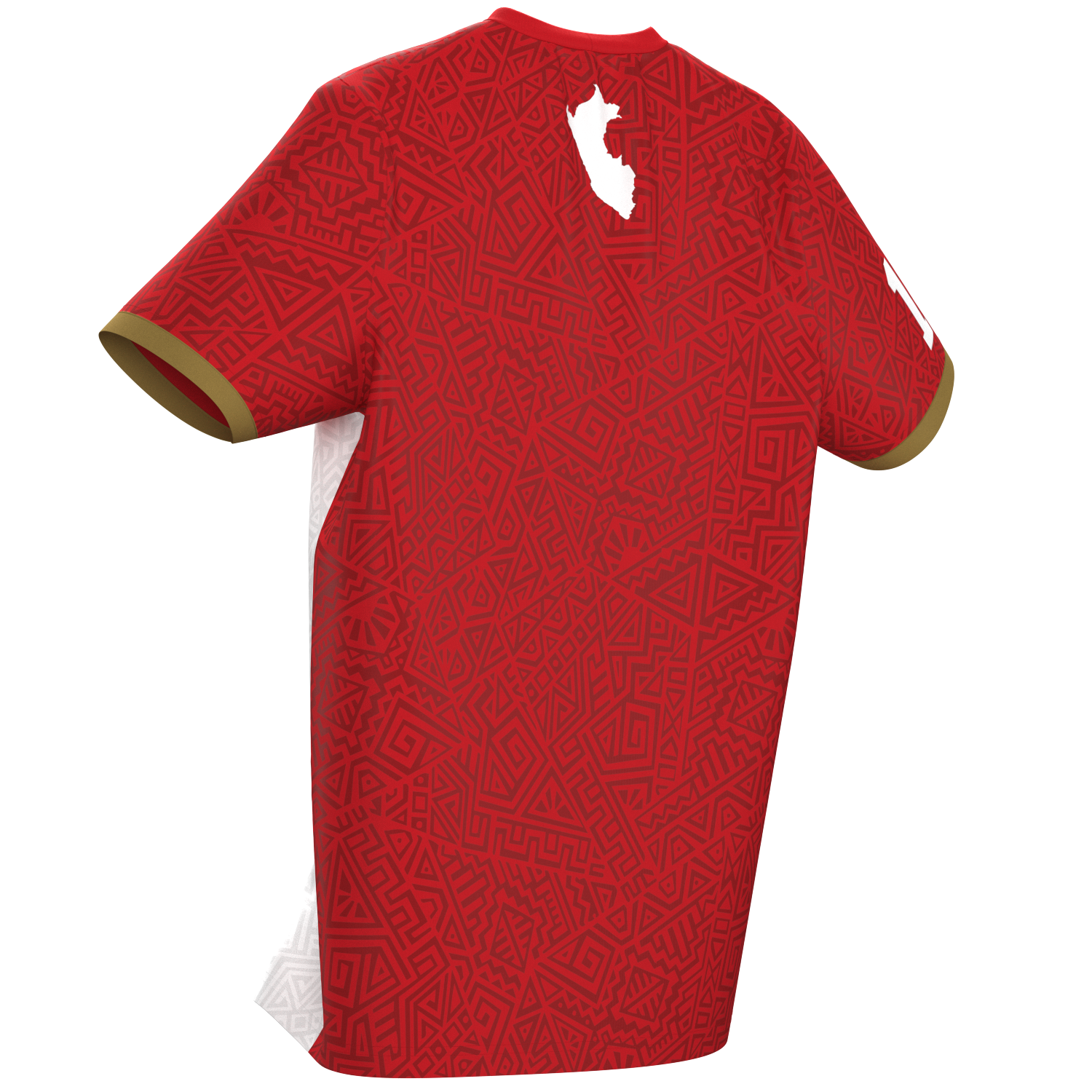 PRE-SALE Peruvian Heritage Match Warm Up Jersey - Adult