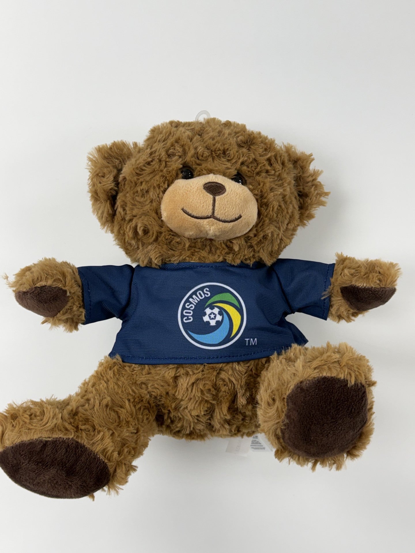 Cosmos Teddy Bear